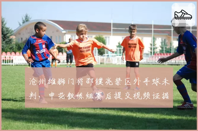 沧州雄狮门将邵镤亮禁区外手球未判，申花教练组赛后提交视频证据