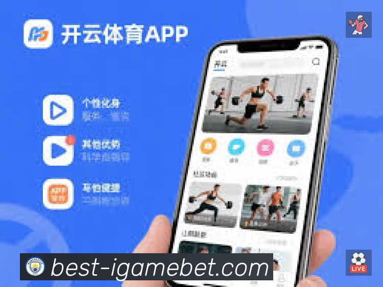 爱游戏体育App 功能展示